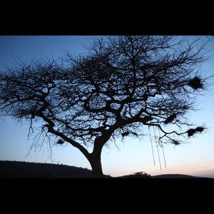 Meet your Posher, Daniella